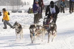 Lenk 2012 SM